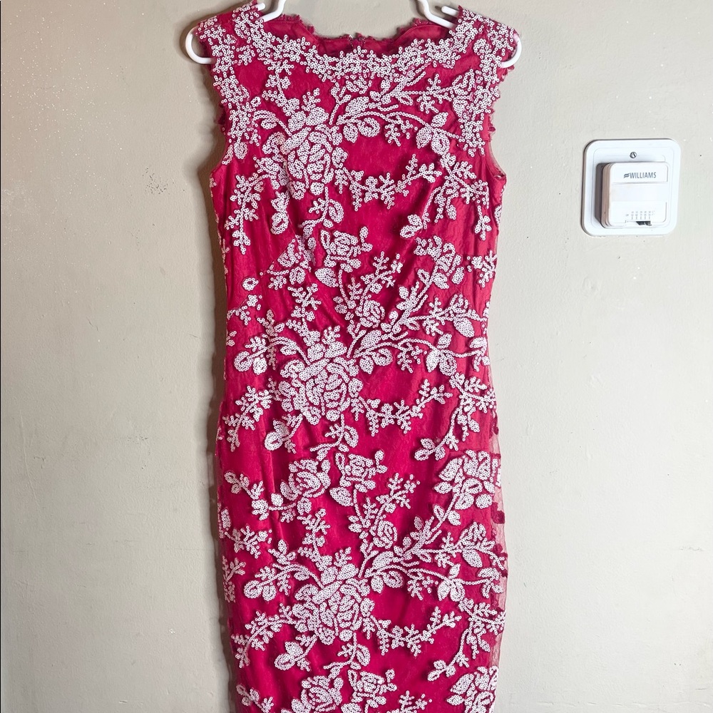 Red Lace Tadashi Shoji Dress